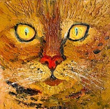 Dipinto olio gatto animale