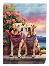 Yellow Labrador Retriever Two