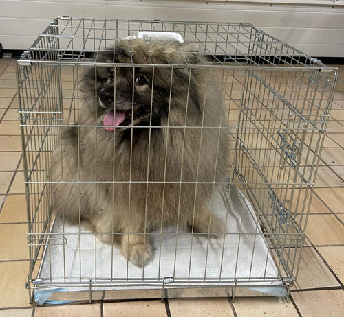 Kennel gabbia per cani taglia - per,