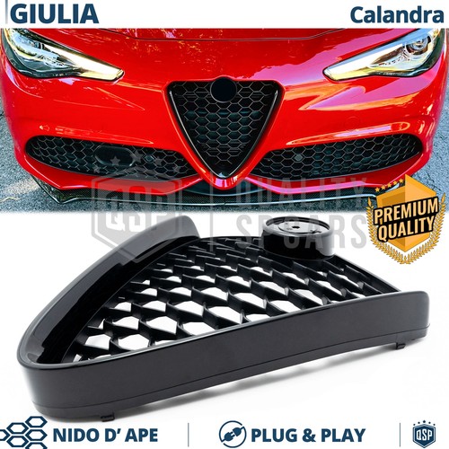 Griglia anteriore per alfa - griglia,