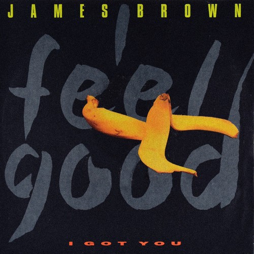 James brown got you i - i,
