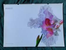 PIRELLI: CALENDARIO ORIGINALE E NUMERATO 2004 NICK KNIGHT