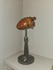 Cuore Anatomico Didattico Paravia ??? primi 900