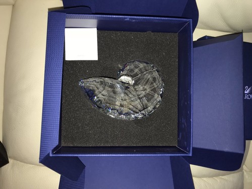Swarovski nautilus shell - swarovski,