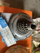 110511 Albero Primario