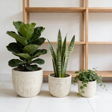 Set 3 Fioriere Tonde Ossido di