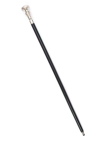 Cane bastone passeggio - cane, da
