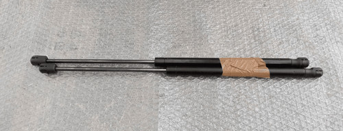 Asta ammortizzante portello
