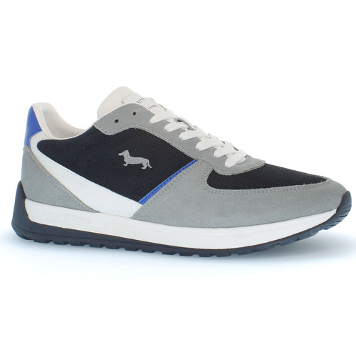 Scarpe harmont blaine 241 090 - harmont&blaine, 241.090