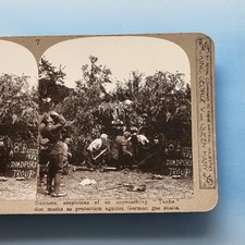Sikh Indian Troops WW1