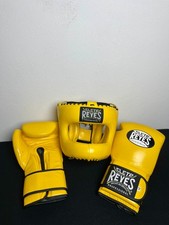 Set Guantoni da Boxe e