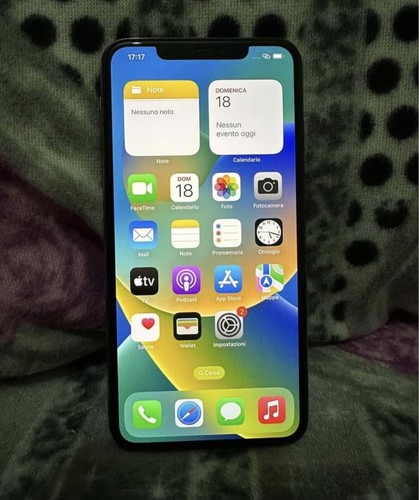 Iphone pro max 256 gb - 11,