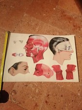 MEDICINA TAVOLE DIDATTICHE