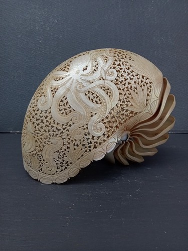 Conchiglia nautilus intagliata - conchiglia,