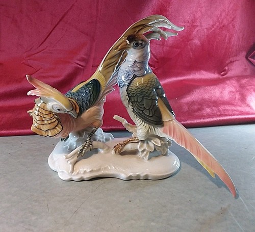 Uccellini del paradiso karl - paradiso,