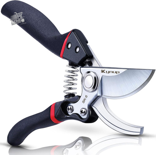 Professional pruning scissors - professional,