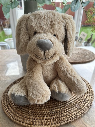 Coccole buddies amicizia cane - coccole,