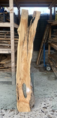 Tavola legno ulivo - in, di