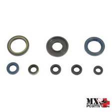 KIT PARAOLI MOTORE KTM MX 250