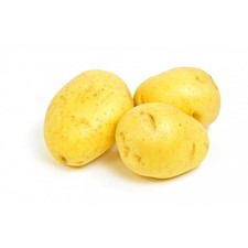 Semi di patate Yukon Gold semi