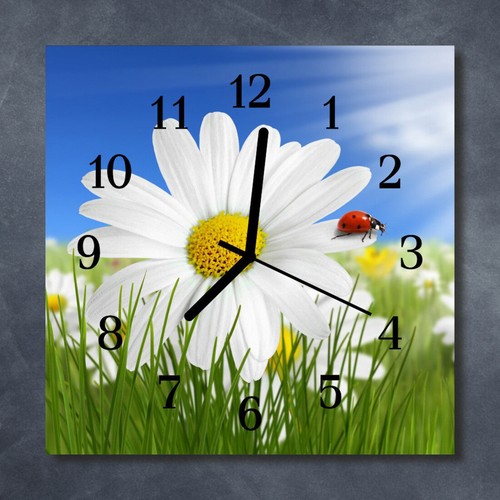 Orologio parete 30x30 cm - orologio,
