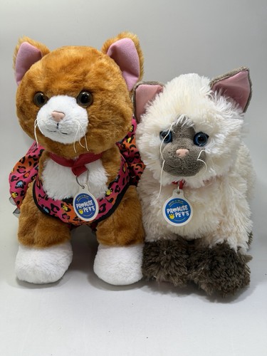 Lotto peluche gatto - , himalayano