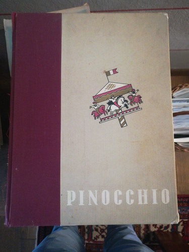 Avventure pinocchio - le,