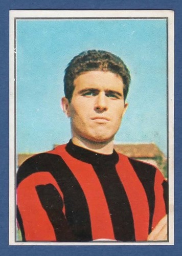 Figurina calciatori panini - figurina,