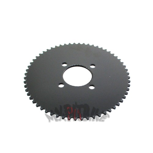 Pignone posteriore denti - posteriore,