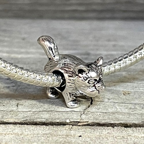 Gatto amico peloso - gatto,
