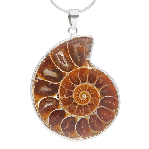 Ciondolo ammonite - ammonite, |