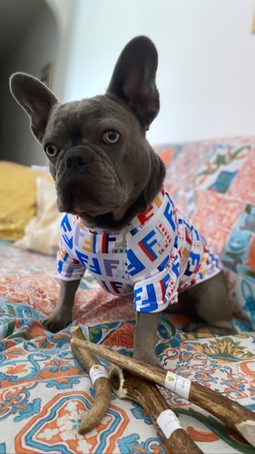 Accessori per cani - per,