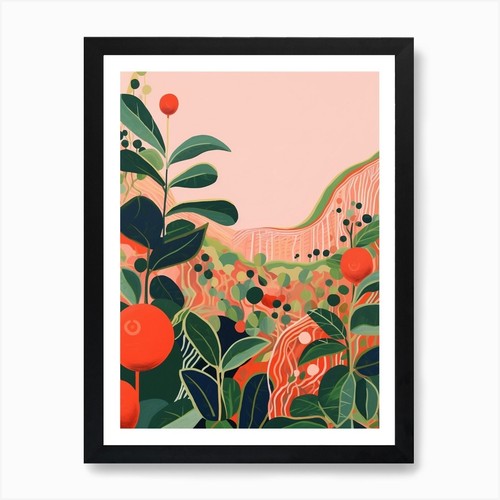 Quadro pianta boho hoya - pianta,