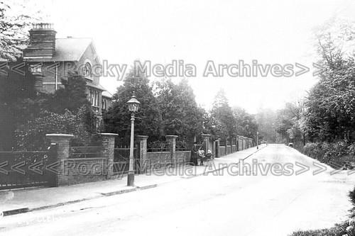 Zmm street view - zmm-65,