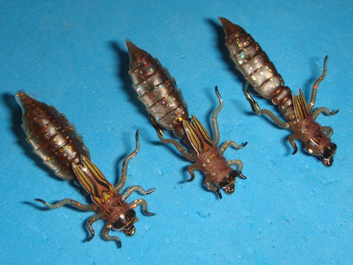 Mosche pesca mosca ninfa - pesca, a