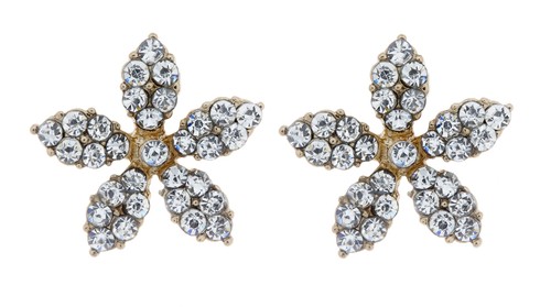 Orecchini clip oro - clip,