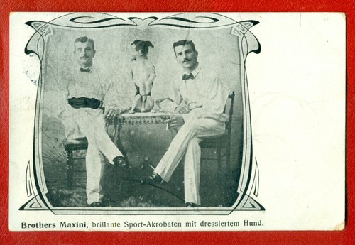 Acrobati fratelli maxini - acrobati,
