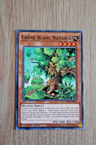 Carte konami - yu, gi