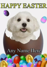 Biglietto Auguri Pasquale