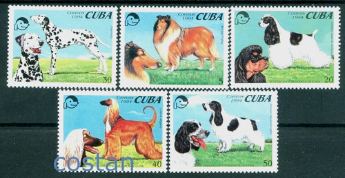 1994 cani dalmatian - dalmatian,, rough