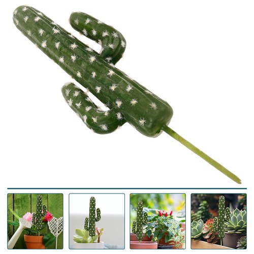 Simulazione cactus in - simulazione,