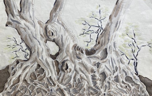 Acquerello radici albero
