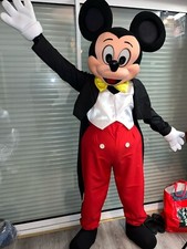 mascotte mickey deguisement