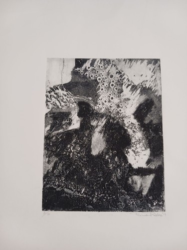 Incisione riva rina 1979 - rina,