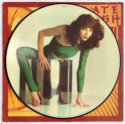 Kate bush the kick - bush, inside