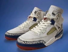 Air Jordan Spizke True Blue