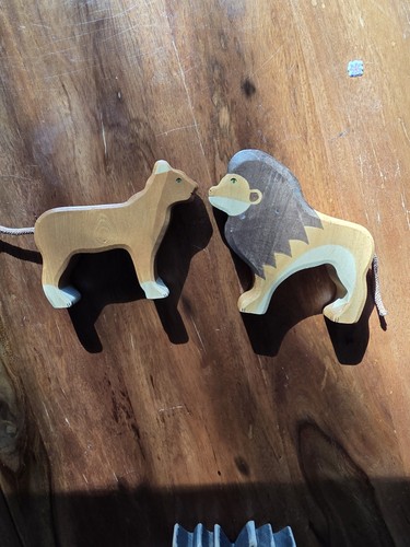 Holztiger coppia leone - coppia,