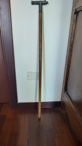Bastone passeggio cannone - da,