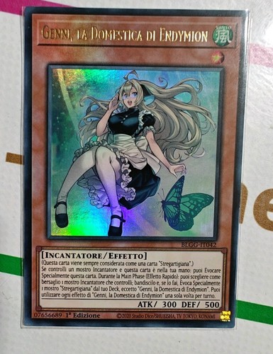 Genni domestica di - genni,,