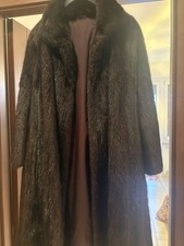 Visone,marrone scuro con